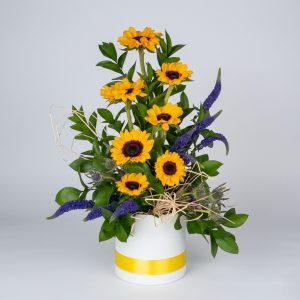 BFA 7121