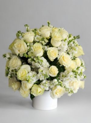 BFA 7845