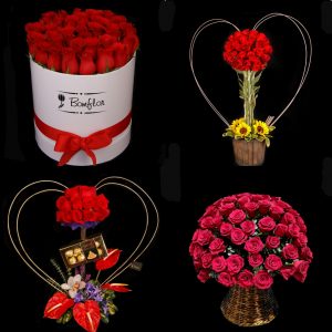 Bomflor Floristeria, Florerías Quito | bonflor Arreglos Florales y Flores a  Domicilio – Floristerías en Quito, servicio a domicilio inmediato, arreglos  florales, frutales, orquídeas y globos, compra online, servicio  personalizado.