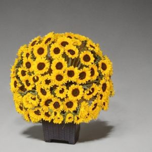 Ver todos los arreglos